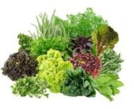 B9 B9 vitamines voor de hersenen